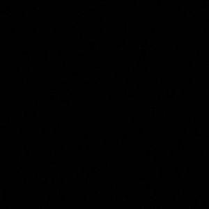 Meet your Posher, Ava